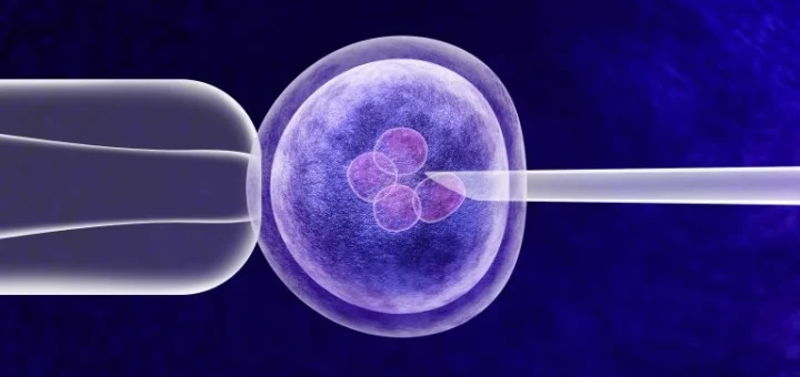 Orchestrierung der Versorgungskette für Therapien seltener Krankheiten
