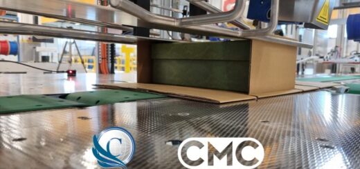 Partnerschaft für Verpackungsautomatisierung in Japan