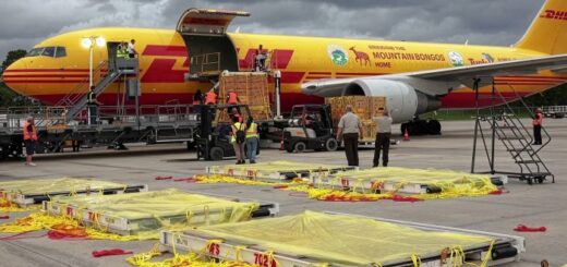 Außergewöhnliche globale Frachtlieferungen