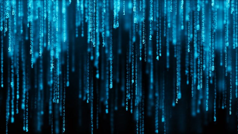 Flottenmanager, die KI annehmen