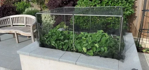 E-Commerce-Einzelhändler verbessert die Auftragsabwicklung