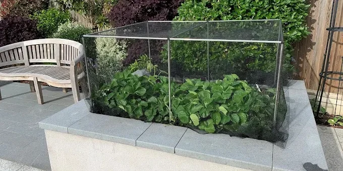 E-Commerce-Einzelhändler verbessert die Auftragsabwicklung