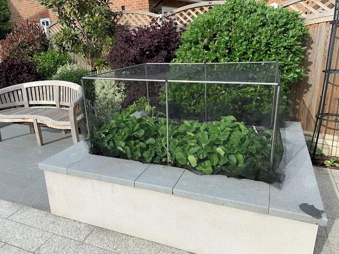 E-Commerce-Einzelhändler verbessert die Auftragsabwicklung