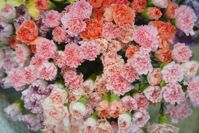 Pallet Pooler hilft Blumen zum Muttertag