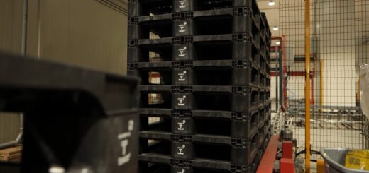Neue runde Palette für nachhaltige Logistik
