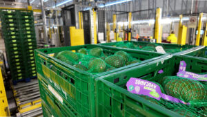 Bardon verbindet Automatisierung mit resilienter Frischelogistik