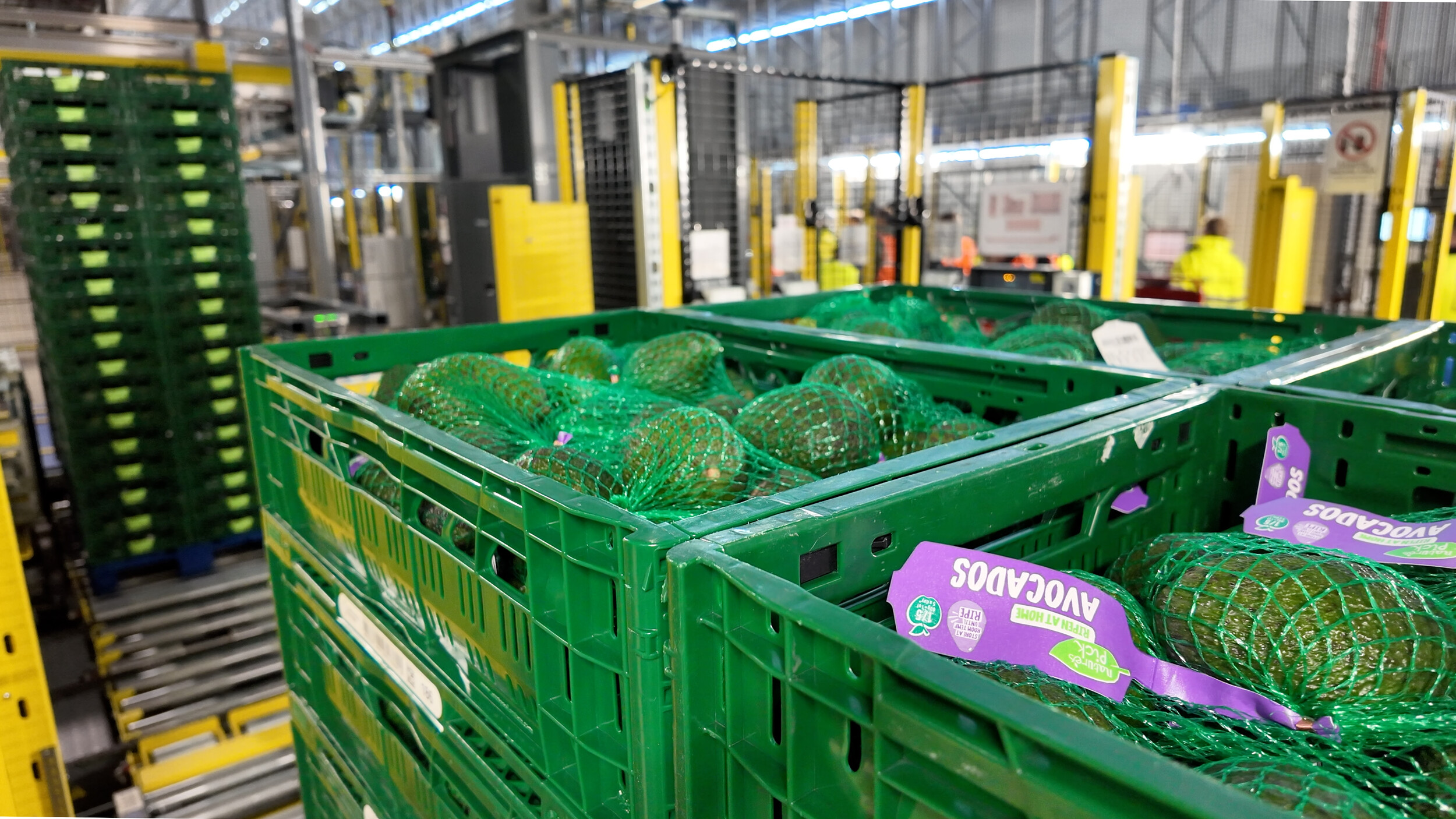 Bardon verbindet Automatisierung mit resilienter Frischelogistik